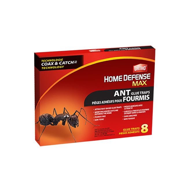 ORTHO Ant Glue Traps Pack of 8 RénoDépôt