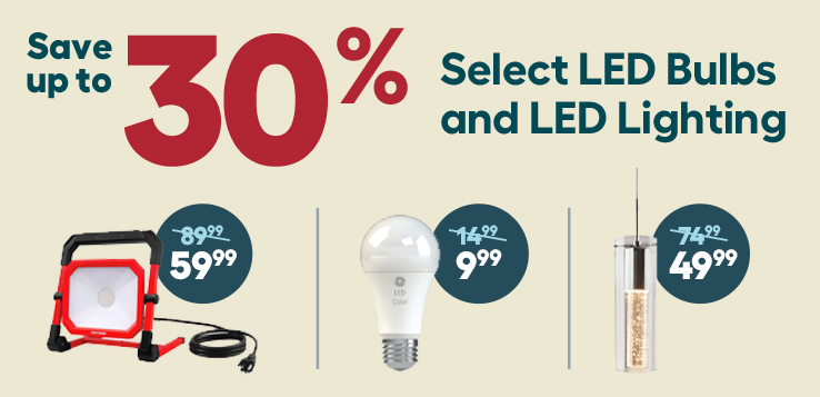 LED light bulbs promo