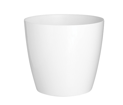 White cover pot