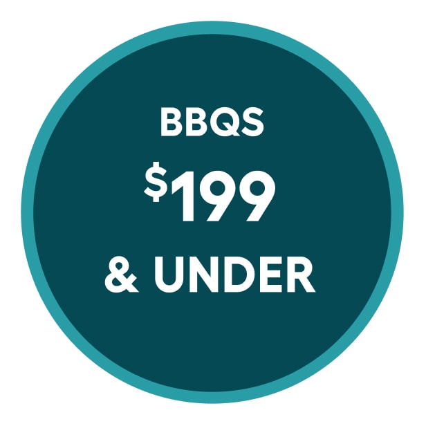 BBQs $199 & Under